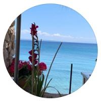 /customerDocs/images/avatars/40929/40929-BEACH BAR RESTAURANT-ΟΡΓΑΝΩΜΕΝΗ ΠΑΡΑΛΙΑ-NIKOS-ΒΑΣΙΛΙΚΟΣ ΖΑΚΥΝΘΟΥ-VASILIKOS ZANTE-LOGO.jpg